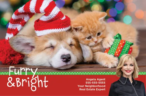 Furry & Bright Sample