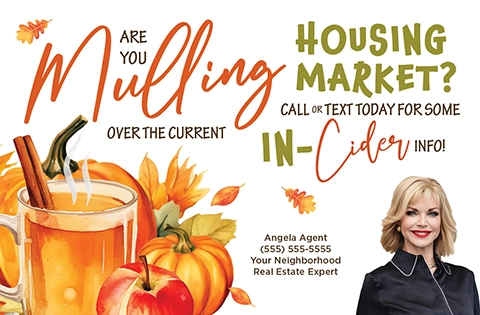 Mulling Over the Current Housing Market Sample